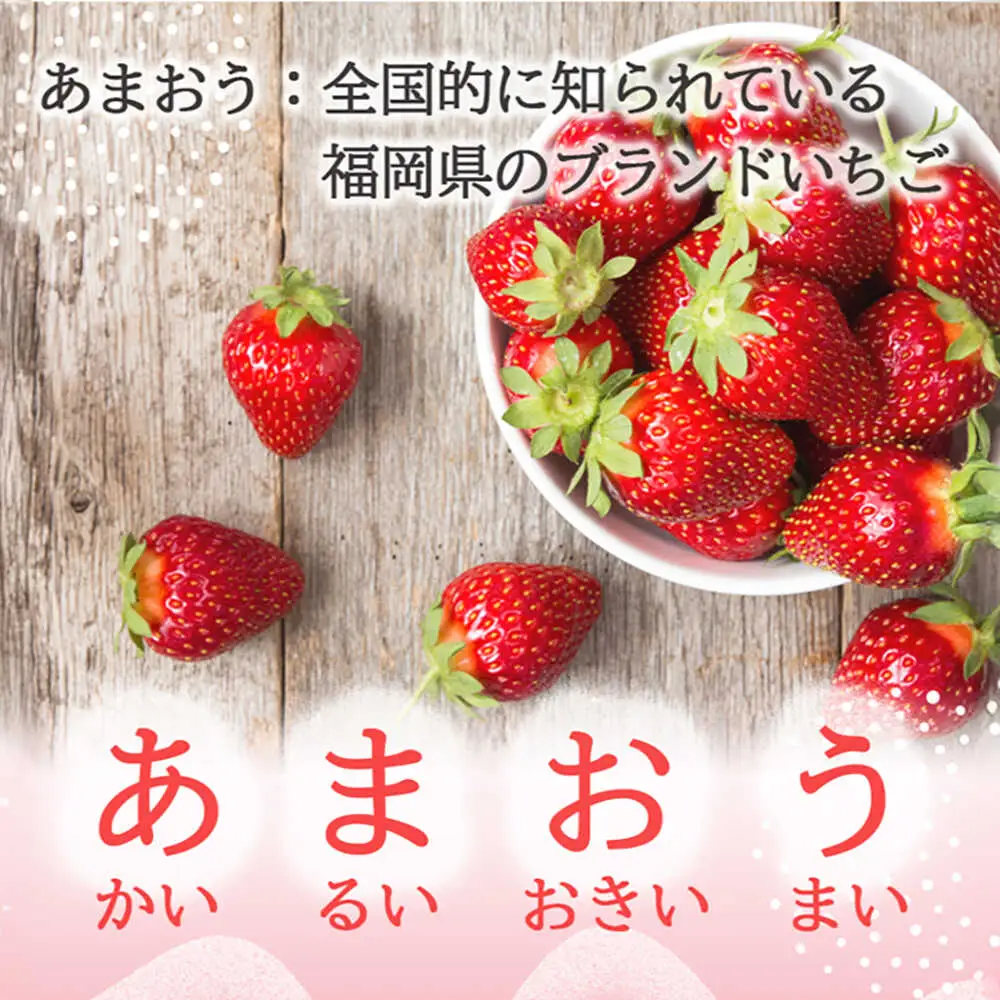 福岡県産あまおうパウダー 100ｇ いちご 粉末 製菓 糸島市 / 株式会社フルコンス[ALO002]