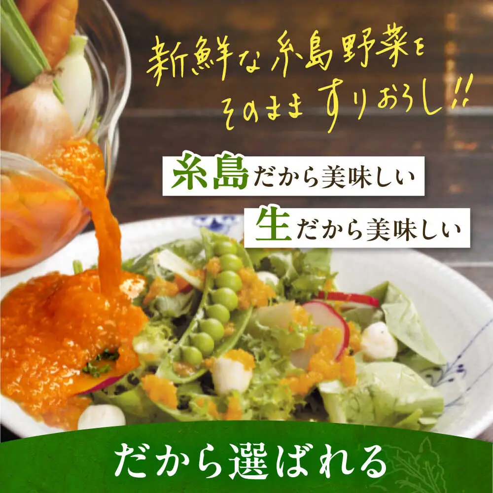 【ご家庭用】糸島野菜を食べる生ドレッシング（人参・玉葱 2本セット） 糸島市 / 糸島正キ / 野菜 サラダ[AQA100]