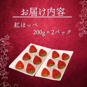紅ほっぺ いちご 苺 400g 紅ほっぺ