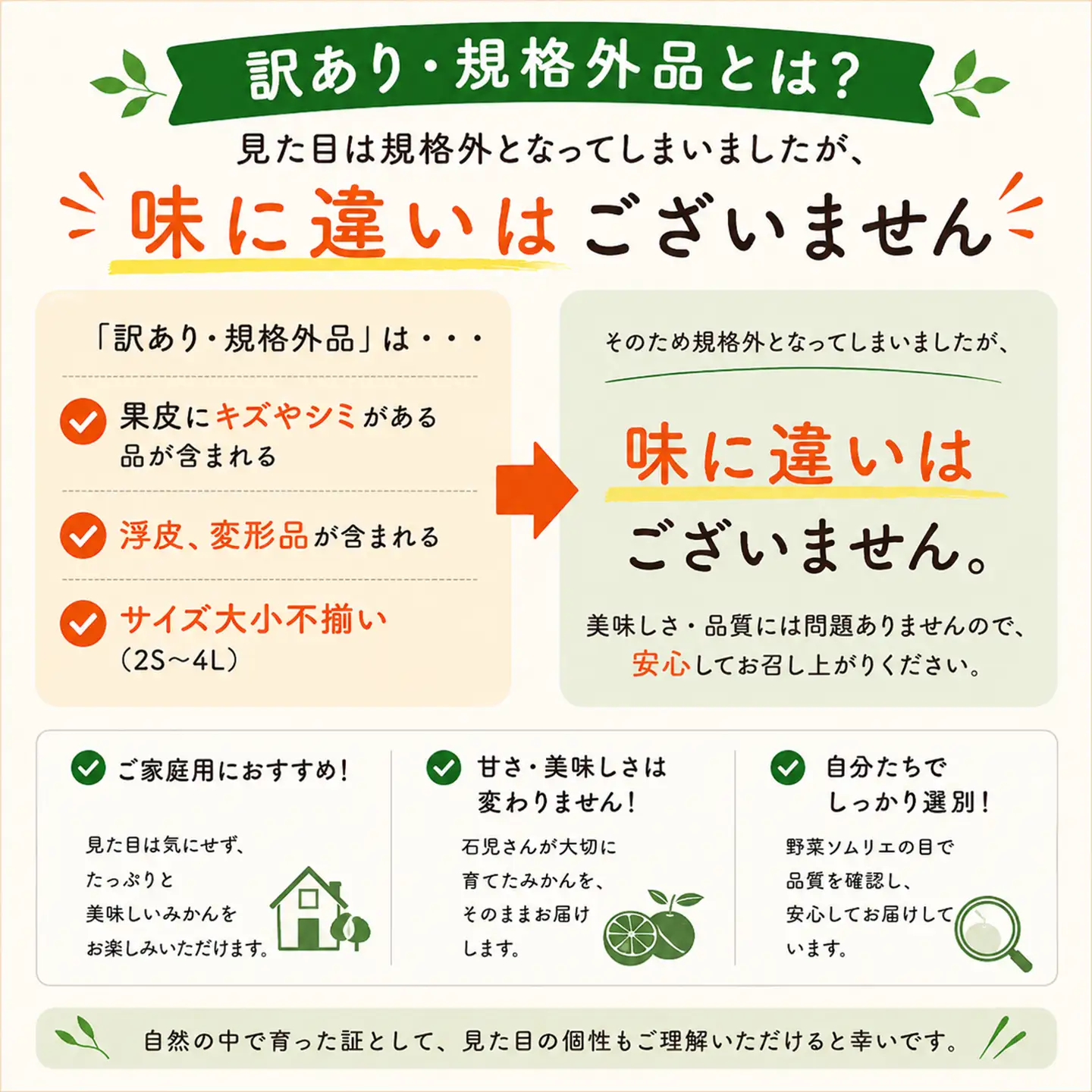 はるみ 訳あり 5kg 規格外 ミカン 柑橘 2027年発送 先行予約 ／ 野菜ソムリエ石児さんの「はるみ 5kg」＜103-011＞