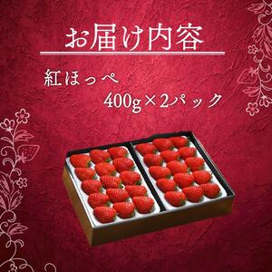 紅ほっぺ いちご 苺 800g 紅ほっぺ