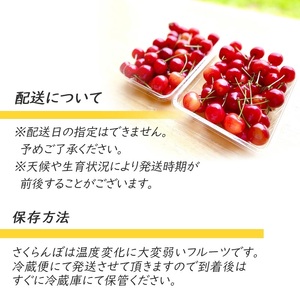 【令和9年産】 さくらんぼ「佐藤錦」バラ詰め 1kg 山形県鶴岡産 K-967 JA庄内たがわ　