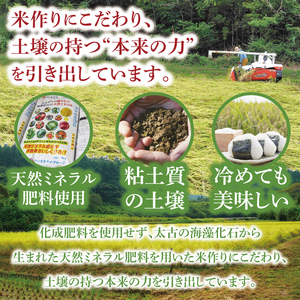 新米5kg「名土のみやげ」コシヒカリ（白米）5kg令和8年産【9月中旬より順次出荷】｜茨城県 大子町 奥久慈 米 精米 ご飯 数量限定(DB001)
