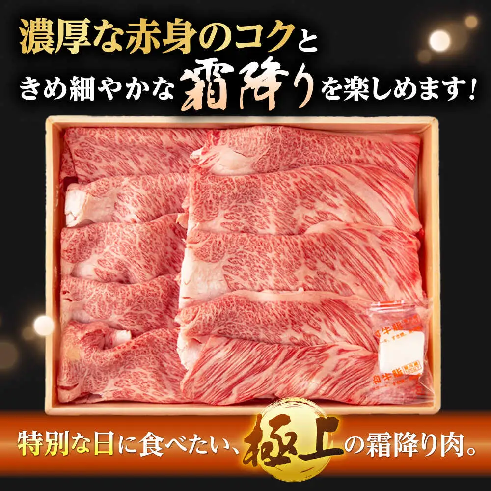 【全6回定期便】肩ローススライス 400g 長崎和牛 A4〜A5ランク しゃぶしゃぶ すき焼き【野中精肉店】[VF96]