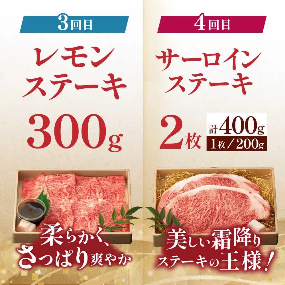 【全6回定期便】60年以上愛される老舗「野中精肉店」よりお届け！目利きの店主厳選 長崎和牛ご褒美定期便【野中精肉店】[VF98]