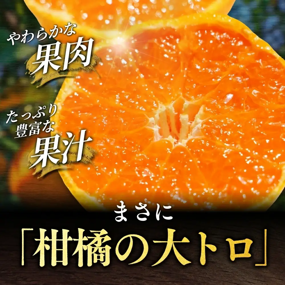 ＼数量限定／ 露地栽培のせとか 3kg / せとか 柑橘の大トロ 高級 ブランド 希少なせとか 品種 和歌山蜜柑 和歌山ミカン 高級みかん 人気みかん 果物 くだもの フルーツ 柑橘 蜜柑 産地直送 国産 和歌山 【tcs027-1】