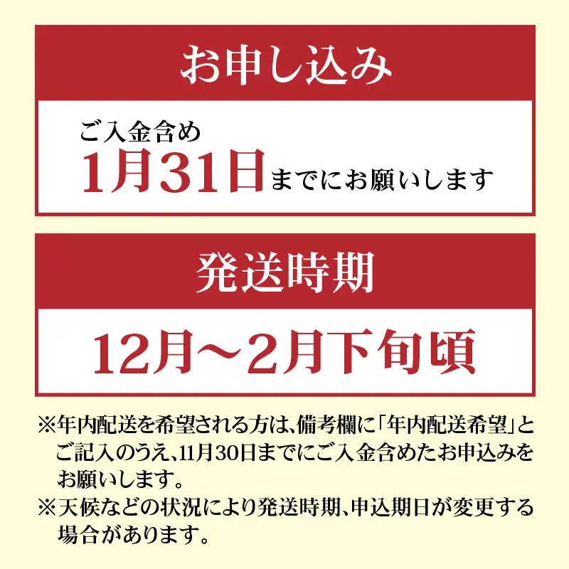 沢庵大樽 と 冬野菜 セット（ ご入金締切1月31日まで ）【沢庵大樽】 M002-006 野菜 三浦野菜