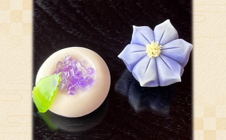 上生菓子万寿堂 季節のおまかせ 上生菓子【10種計10個】