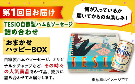 【全3回定期便】オリオンビール晩酌セット【沖縄市】ビール 酒 おつまみ / TESIO / だるまそば / お肉屋本店 / リカーショップ コザ[BCZZ036]
