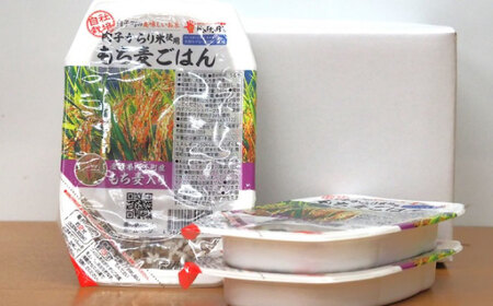 もち麦ごはん 10P BKAD006 パックごはん