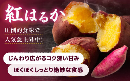 【 紅はるか 】 焼き芋 2kg さつまいも[AEDG004]