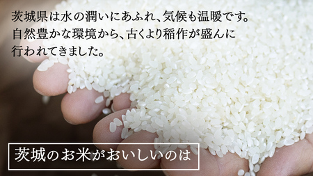 令和7年産 茨城県産 精米 コシヒカリ 5kg （5kg×1袋）