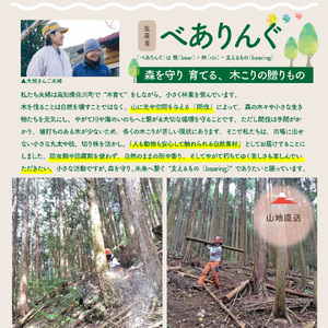 ひのきの原木 輪切り スライス 檜 桧 国産 材 佐川町産 10枚 カット ひのき風呂 ひのきの湯 【常温】