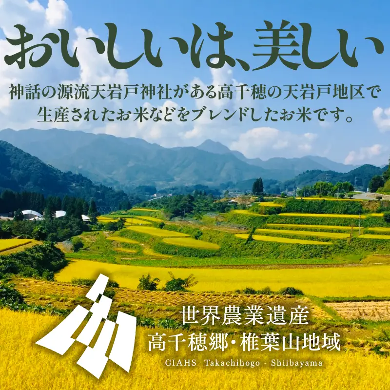 【令和7年産】一稲匠5kg　一稲匠 お米 米 精米 ブレンド米 ブレンド 白米 白飯 白ご飯 5kg 贈答 贈り物 ギフト プレゼント お歳暮 普段使い 日常使い 日常 おすそ分け 国産 国内産 宮崎県産 グルメ お取り寄せ 岩戸精米 宮崎県 高千穂町_Tk019-029-01