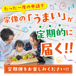 【年6回／偶数月お届け】むなかたの魅力をたっぷりお届け!むなかた紅白定期便_AM0201-00
