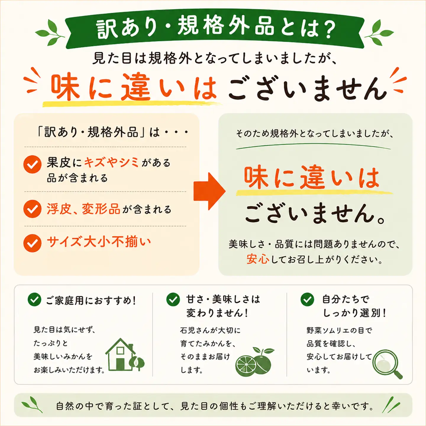 ポンカン 訳あり 10kg 規格外 ミカン 柑橘 2027年発送 先行予約 ／野菜ソムリエ石児さんの「ポンカン 10kg」＜103-010＞