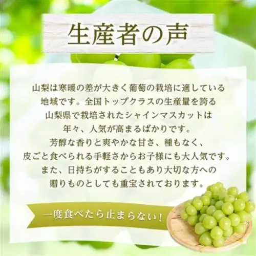 2027年発送　先行予約　山梨県産シャインマスカット1房(約500g)　【配送不可地域：離島・沖縄県】【1666979】