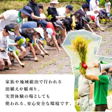 農業特区兵庫県養父市産こしひかり5kg【1666285】