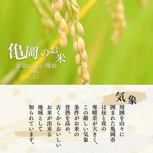 米 令和7年産 コシヒカリ 5kg