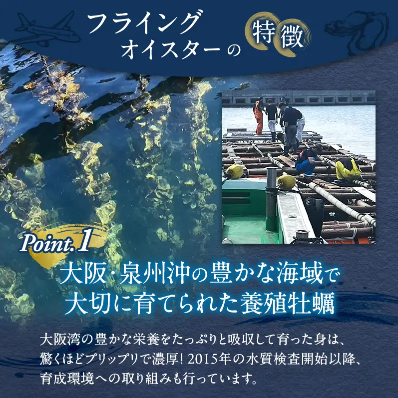 殻付き 牡蠣 3kg 加熱用 生牡蠣【先行予約】フライングオイスター