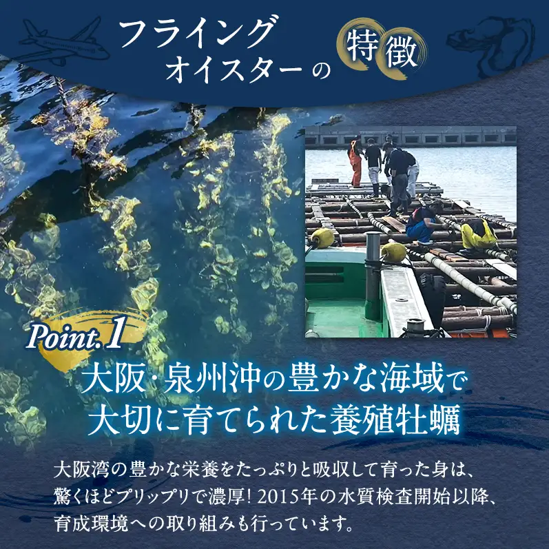 牡蠣 殻付き 5kg 加熱用 先行予約 生 牡蠣