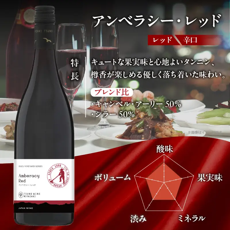 【数量限定】アンベラシー レッド(計1本) ワイン 酒 アルコール 国産_T014-0465