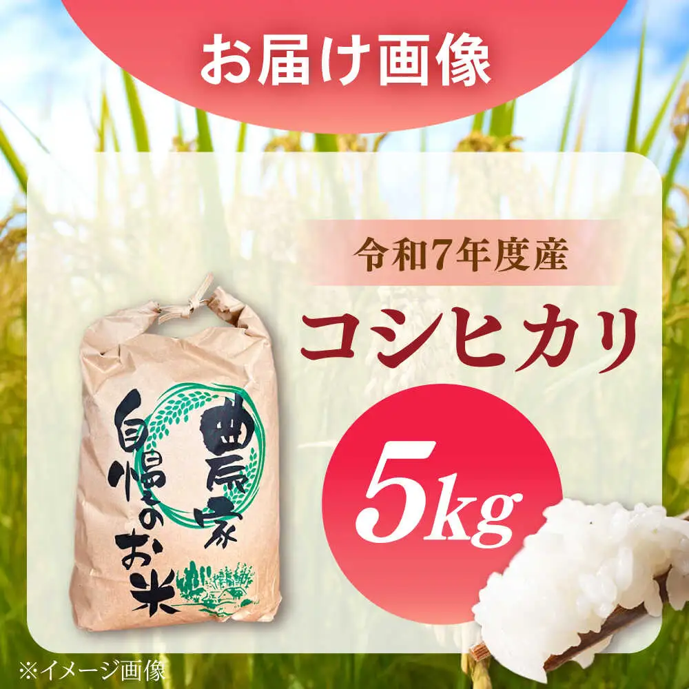 新米 コシヒカリ 5kg【スピード配送】/ 恵那市 / トモファーム [AUCA003] コシヒカリ