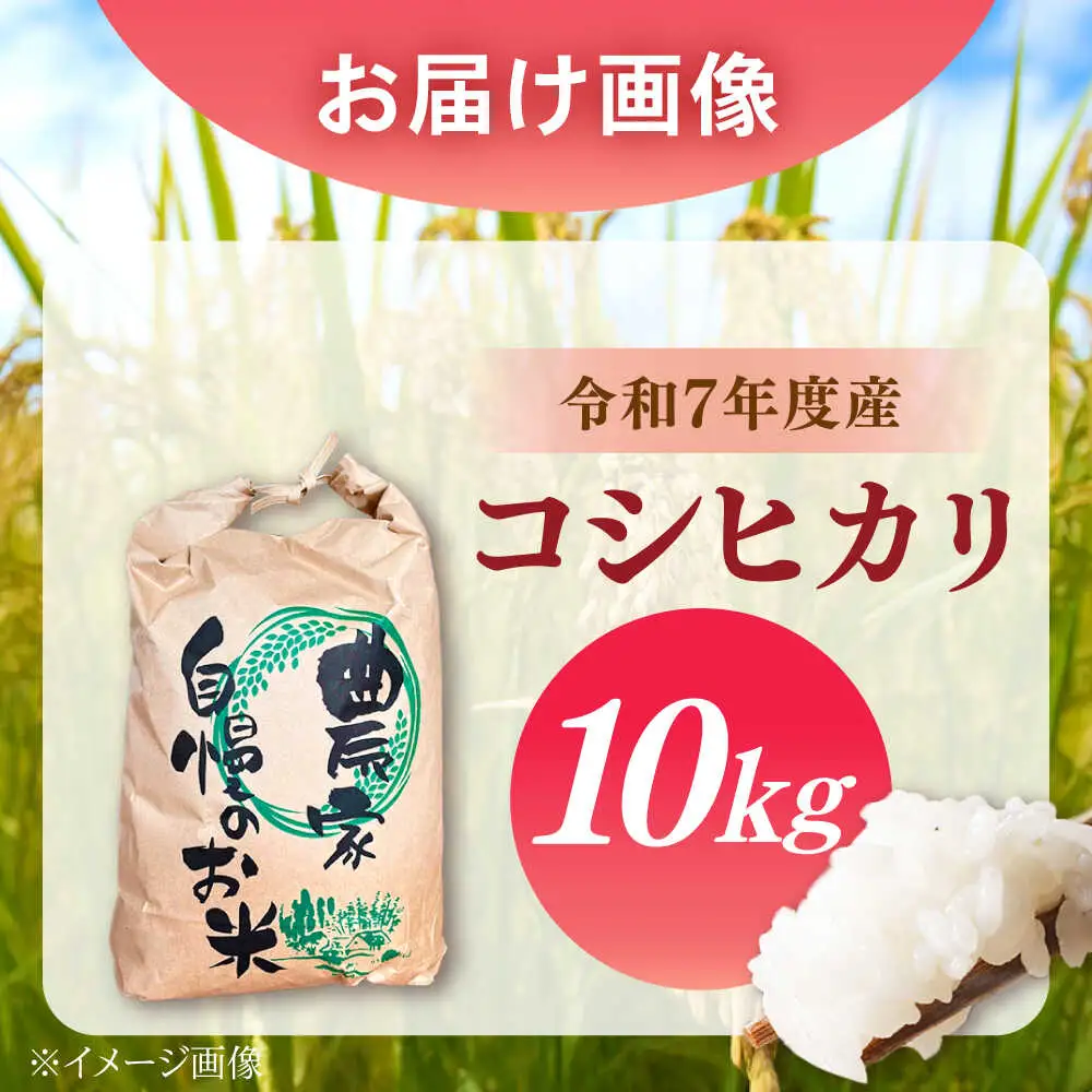 新米 コシヒカリ 10kg【スピード配送】コシヒカリ / 恵那市 / トモファーム [AUCA004] 