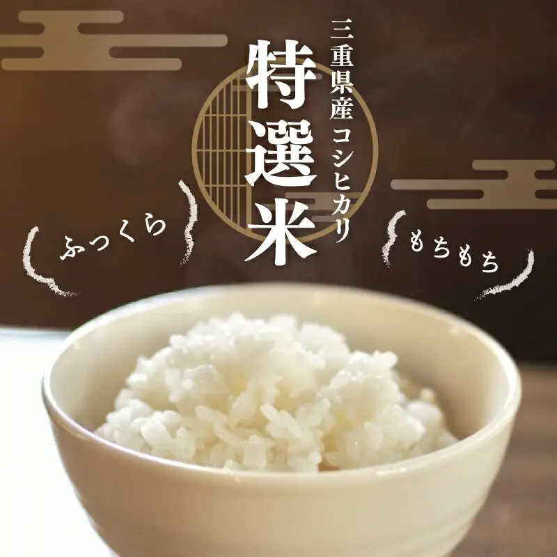 令和7年産 特選米 コシヒカリ玄米 5kg MK19