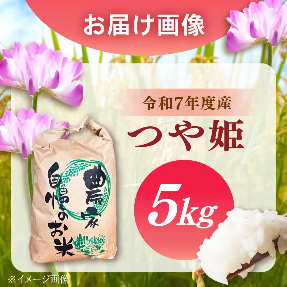 新米 つや姫 5kg【スピード配送】/ 恵那市 / トモファーム [AUCA005] つや姫
