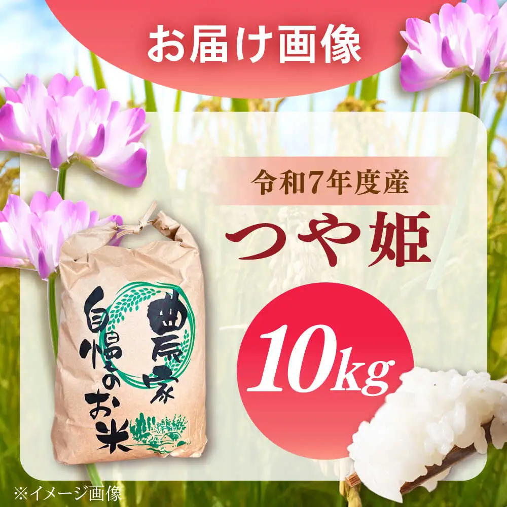 新米 つや姫 10kg【スピード配送】/ 恵那市 / トモファーム [AUCA006] つや姫
