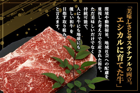8月終了【エシカル和牛】くまもとあか牛【あか牛の極み】モモ焼きしゃぶ 200g×3 (計 600g) 033-0513