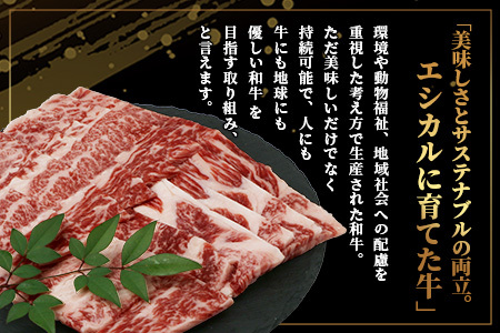 【エシカル和牛】くまもと あか牛【あか牛の極み】バラ焼肉 200g×3 (計 600g)  033-0514