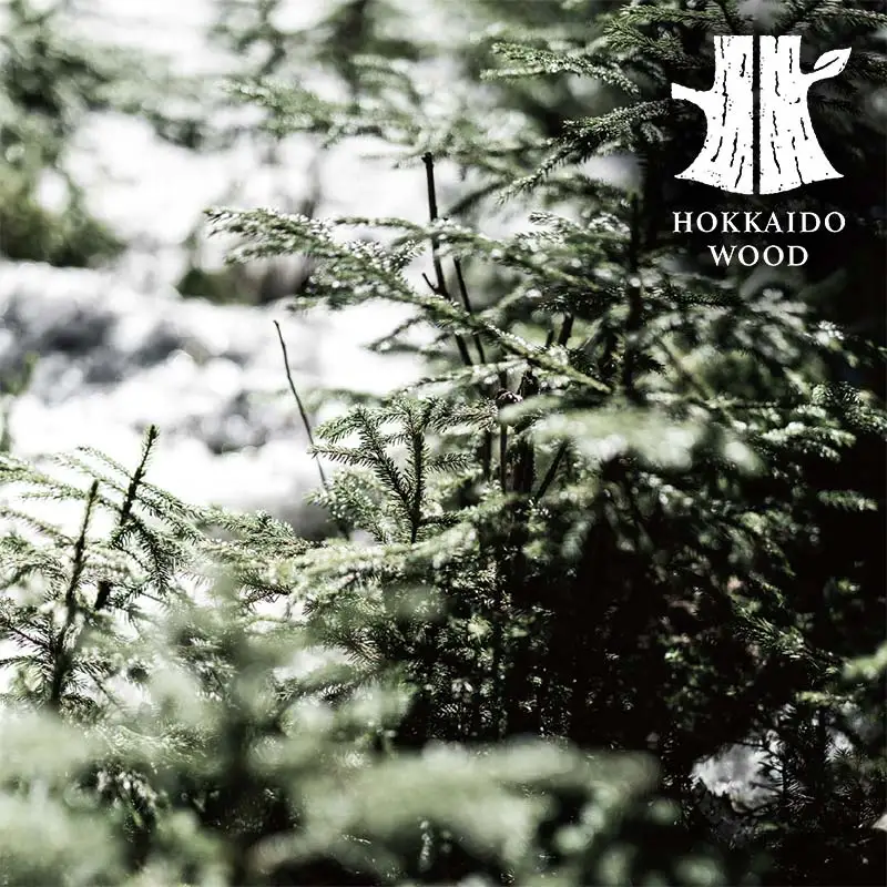 アカエゾマツミスト (HINOKI・CEDAR WOOD) HOKKAIDO WOOD アロマミスト アカエゾマツ精油 天然 アロマフレグランス ギフト プレゼント 森林浴 北海道 F6S-503
