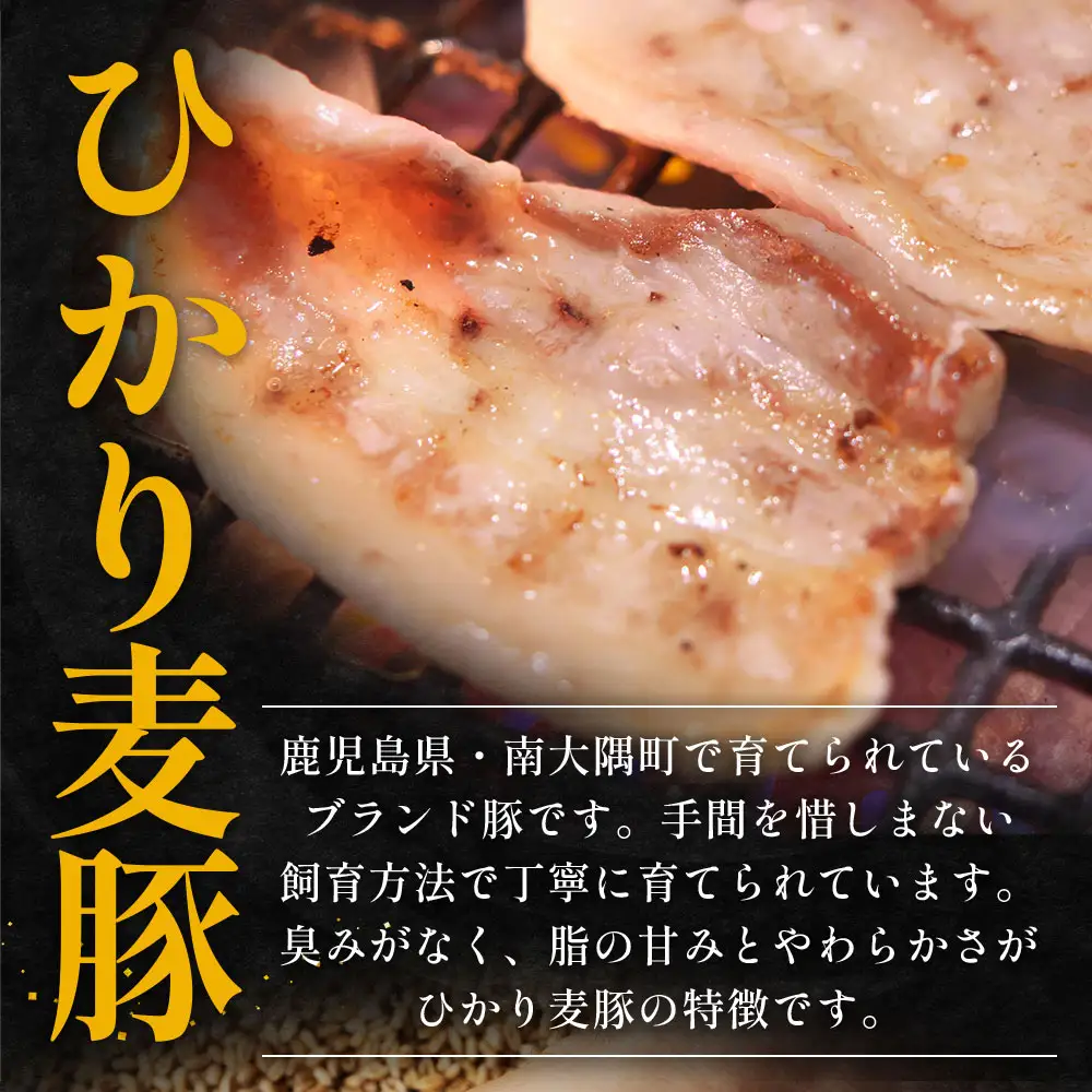 【定期便全3回】ひかり麦豚 プレミアム定期便 ≪月替わりでしゃぶしゃぶ・焼肉・ハンバーグをお届け！≫ 冷凍 HM-11 | 精肉 お惣菜 肉 お肉 にく 豚肉 焼き肉 バーベキュー ロース肉 肩ロース バラ肉  真空冷凍 産地直送 小分け パック 手作り 鹿児島県 南大隅町 ひかり麦豚直売所