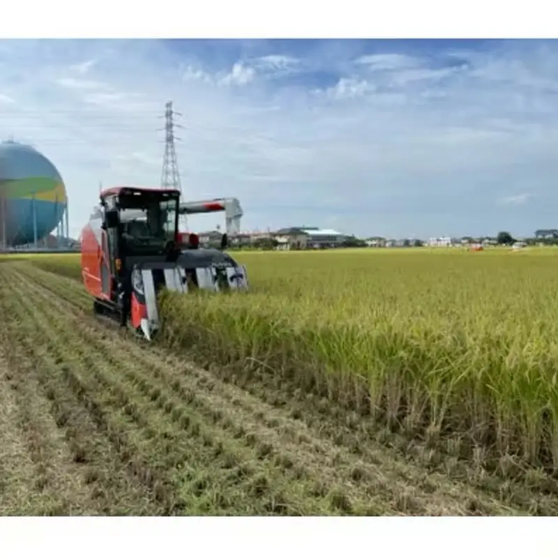 【令和7年産】有機肥料 100％ 埼玉県幸手市産特別栽培コシヒカリ 精米 5kg - 2025年10月1週目より順次発送 新米発送 コシヒカリ こしひかり 米 精米 5kg 有機肥料 特別栽培米 幸手市産 埼玉県 幸手市