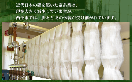 ＜材料、繰糸、機織りすべて西予市でつくった シルク反物＞ 西予市産 愛媛県産 国産 座繰り 手織り しるく 絹 高級白生地 国産生糸 生糸 反物 伝統工芸 愛媛県西予市蚕糸業振興協議会 西予市【常温】『受注生産のため、お届けまで6か月程度いただきます』NES0002