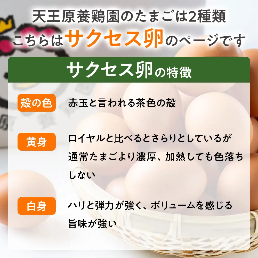 【定期便】5回定期 【天王原のたまご】サクセス卵 30個入り