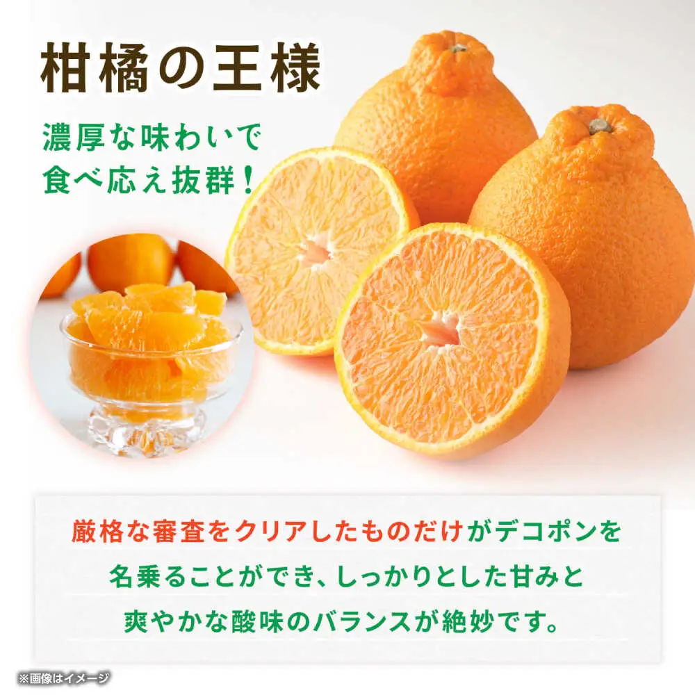 ハウスデコポン　約2kg 【くまふる】[ZBG081]
