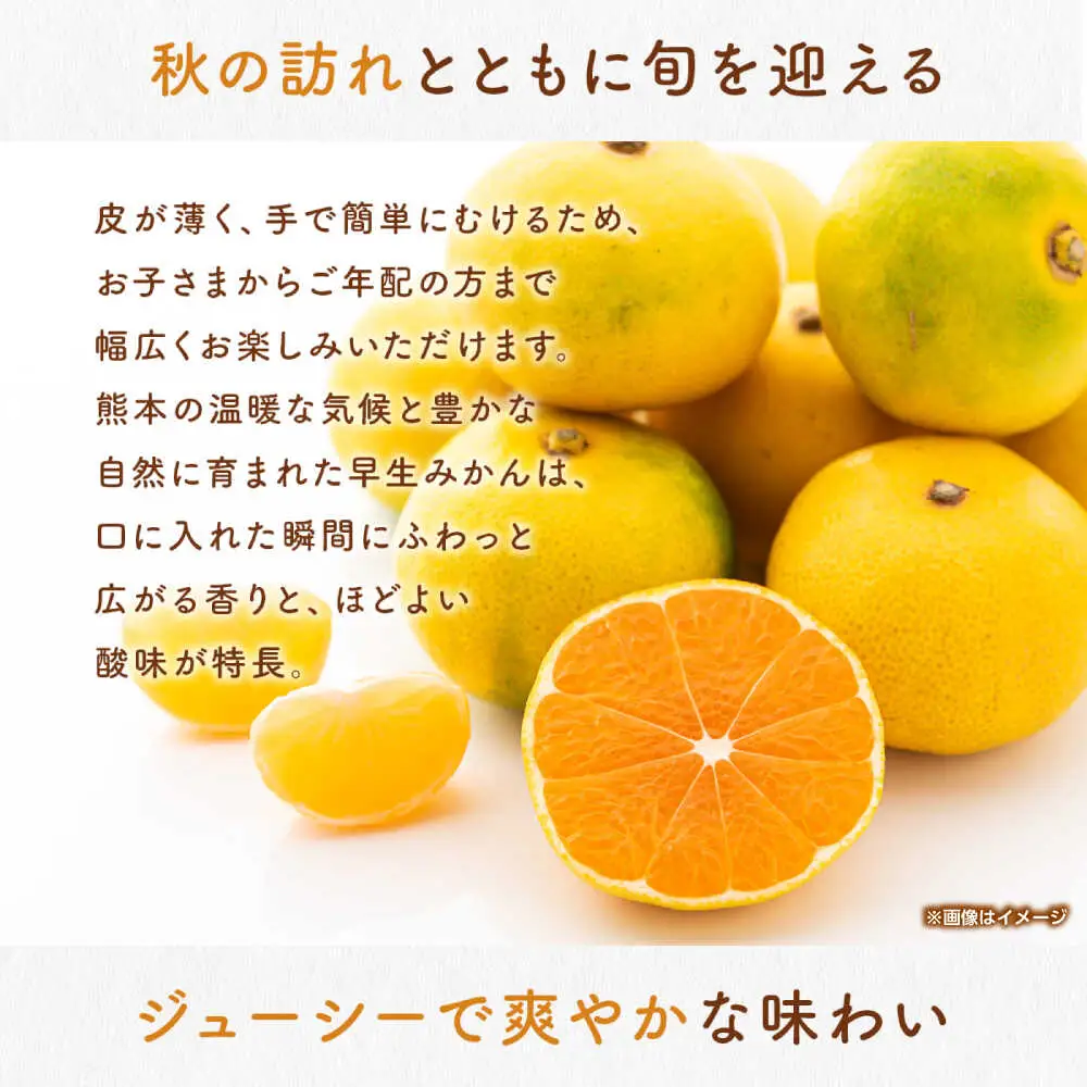早生みかん　約4.5kg 【くまふる】[ZBG082]