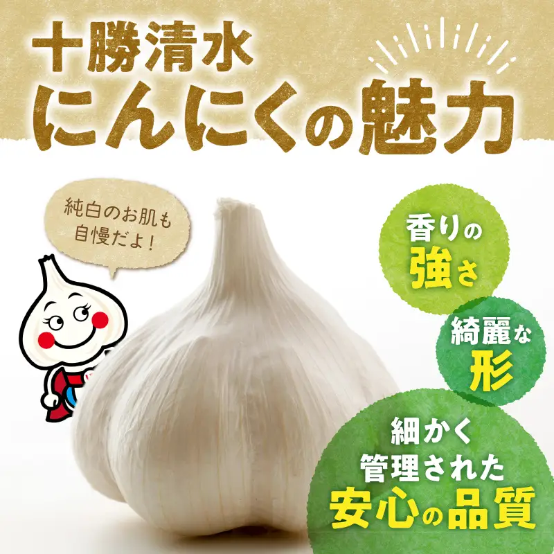 【北海道産】十勝育ちのにんにく Mサイズ(玉) 1kg ニンニク ガーリック_S021-0020