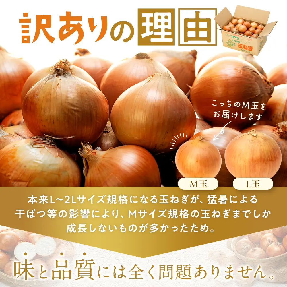 【訳あり】数量限定 特別栽培玉ねぎ M玉 10kg | 訳あり M玉 玉ねぎ たまねぎ タマネギ 玉葱 大容量 オニオン 甘い 減農薬 特別栽培 国産 カレー ハンバーグ 煮込み 炒め物 北海道 津別町 送料無料