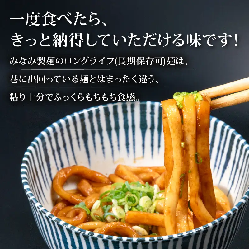 伊勢うどん 【10食分】 タレ付き ご当地 伊勢うどん 三重県 伊勢市 (みなみ製麺)