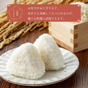【先行予約】 【 令和8年度産 】 お米 5kg にこまる 米