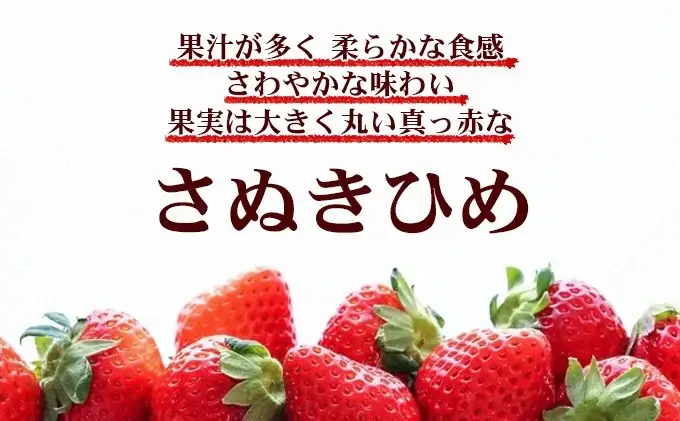 2027年1月～4月発送予定 いちご さぬきひめ 約1kg いちご