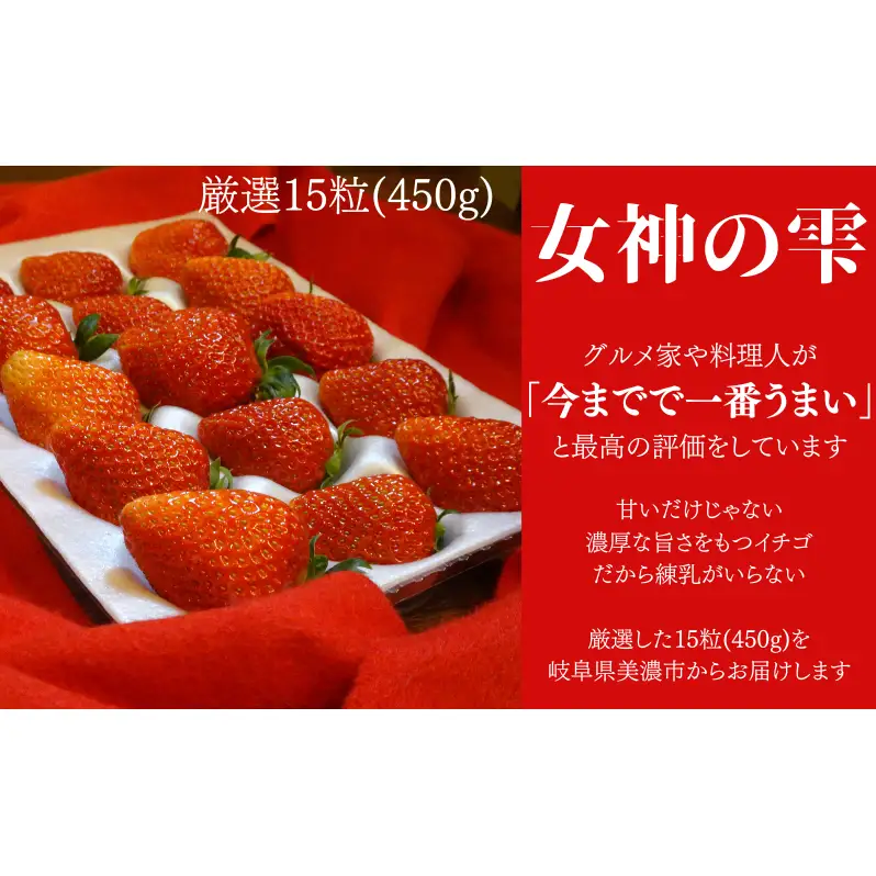 いちご 先行予約 女神の雫 450g 2027年 いちご
