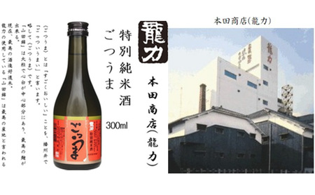 日本酒 純米飲み比べ 300ml 4本 日本酒