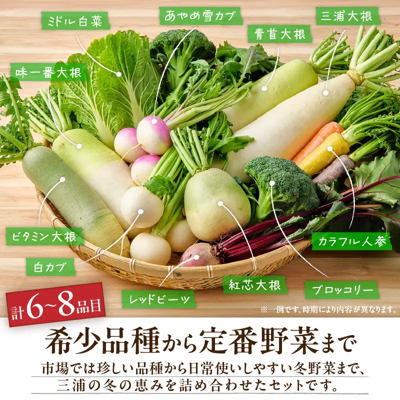 ボリューム 満点 ！ 季節の野菜 詰め合わせ（ 冬 ） M001-004-02 野菜 三浦野菜 先行予約
