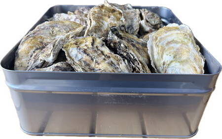 能登かき　殻付き小缶(加熱用)  | 牡蠣 魚介類 訳あり 生活応援価格 ご家庭用 石川県 七尾市 復興支援 ※2027年1月～発送
