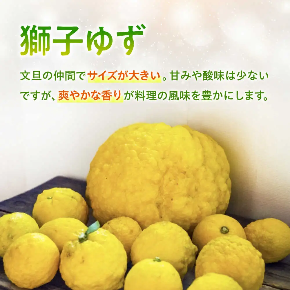 柑なんば 150g×3 福井県小浜名産 獅子ゆず 万能調味料 ご飯のお供 かんなんば / 米麹 唐辛子使用 ピリ辛柚子みそ 小浜市 / タカノ[BFEF009]